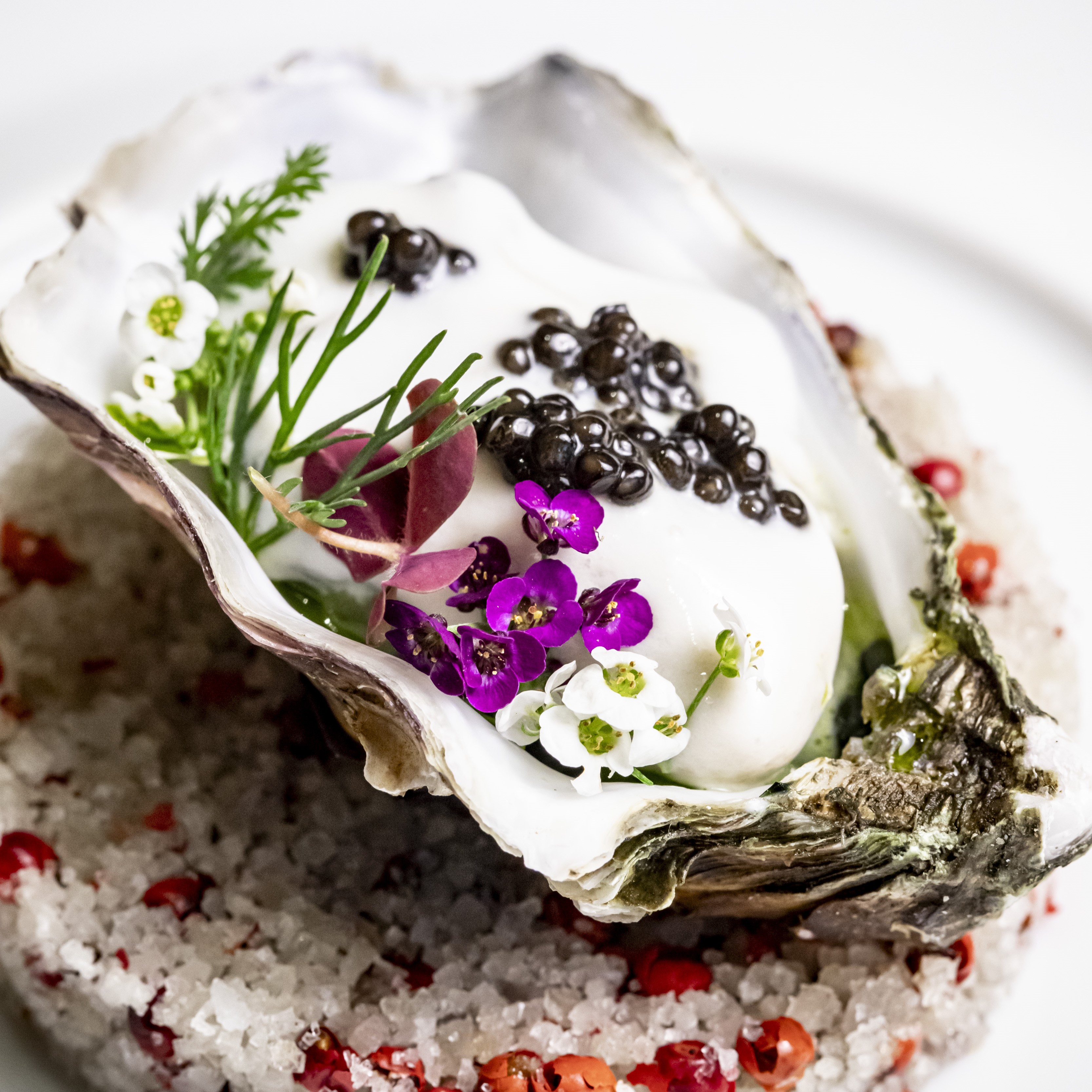 Amberjack sashimi with roasted sesame oil, citrus and shiso leaves